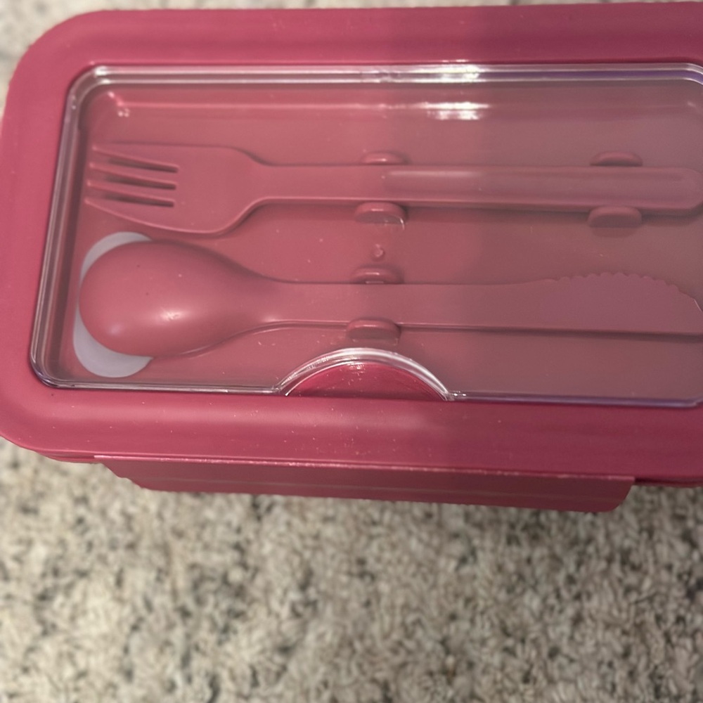 NWOT lunch container